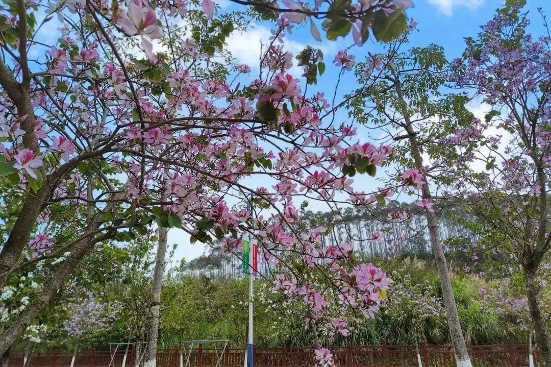 1687230198131091.jpg 微信图片_20230620110059.jpg