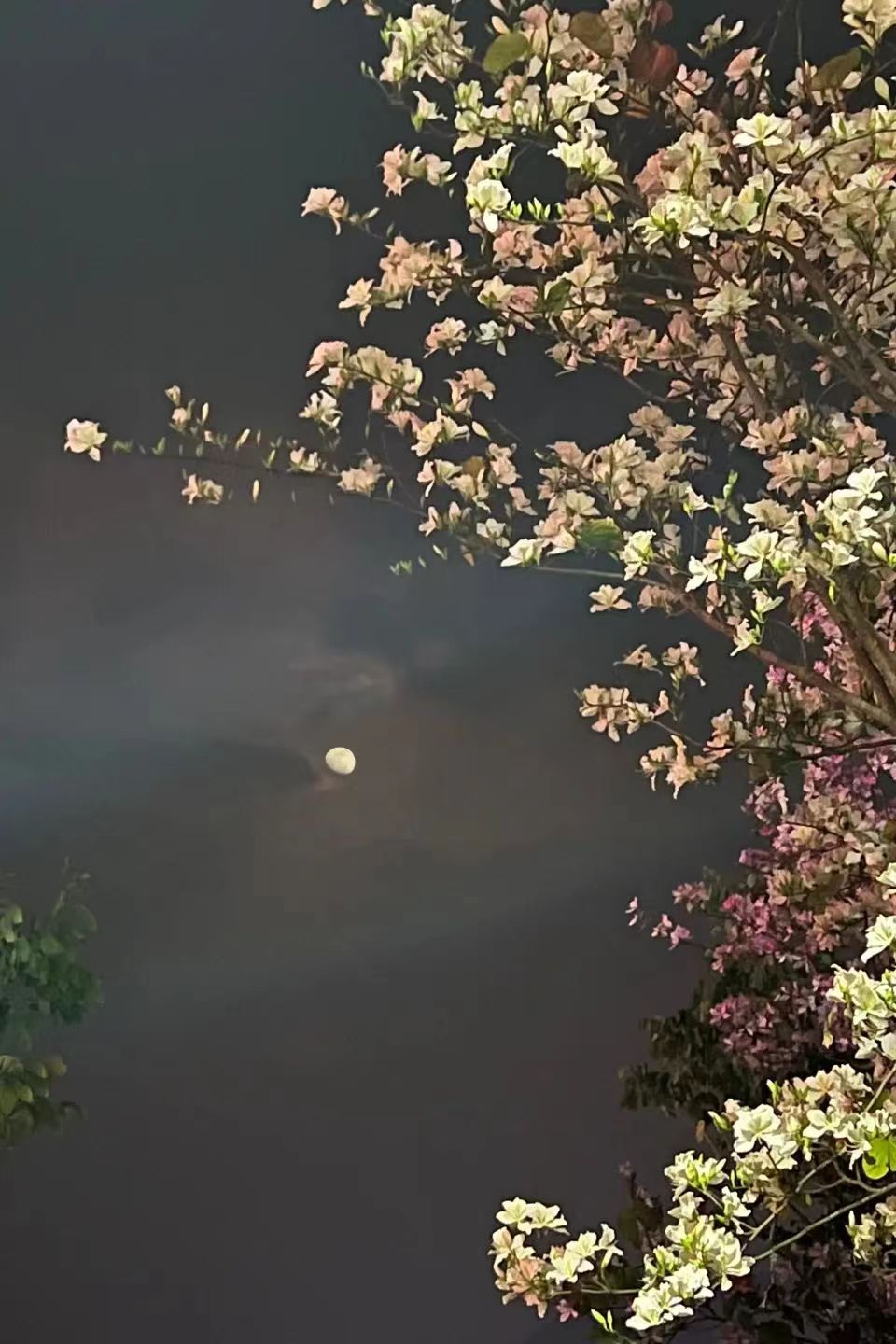 1687242983232796.jpg 微信图片_20230620143342.jpg